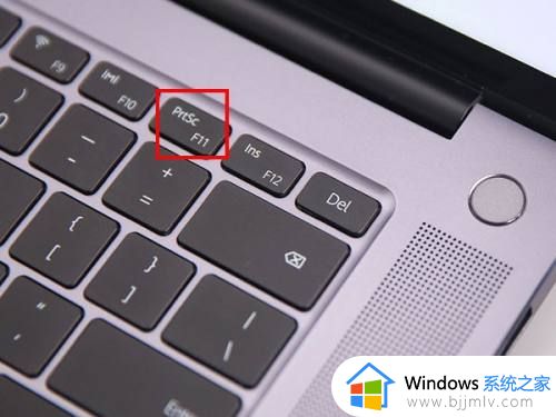 windows11怎么截屏快捷键 笔记本windows11截屏快捷键教程