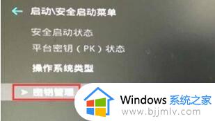 windows11安全启动设置开启方法_win11安全启动怎么开