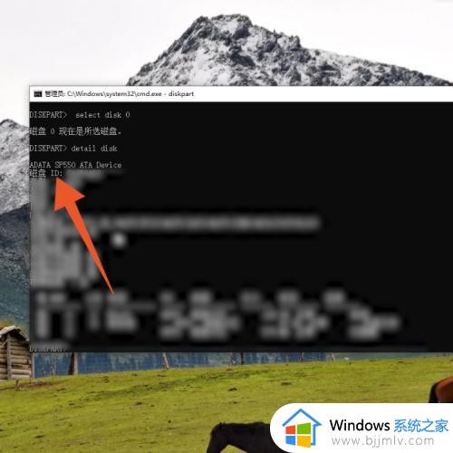 cmd查询硬盘序列号的方法_cmd如何查硬盘序列号