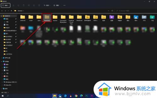windows11显示隐藏文件夹设置方法_windows11怎么查看隐藏文件