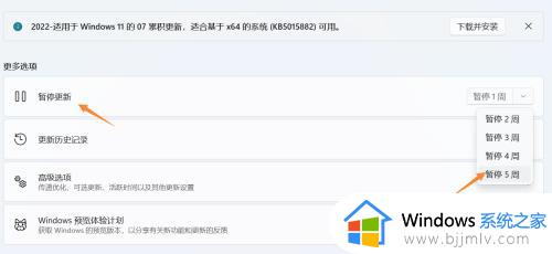 windows11如何关闭更新功能_怎么禁用windows11自动更新