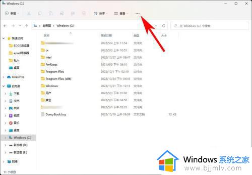 windows11隐藏文件夹怎么显示_windows11设置显示隐藏文件夹方法