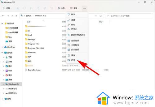 windows11隐藏文件夹怎么显示_windows11设置显示隐藏文件夹方法