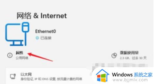 win11手动ip地址设置参数方法_win11手动设置ip地址怎么填