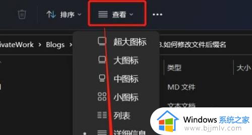 windows11怎么改文件后缀_windows11如何更改文件后缀