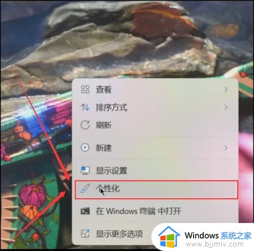 windows11怎么查看硬盘内存_如何查看windows11硬盘储存空间