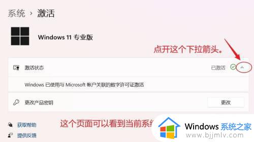 怎么查看windows11激活状态_查看windows11激活状态的方法