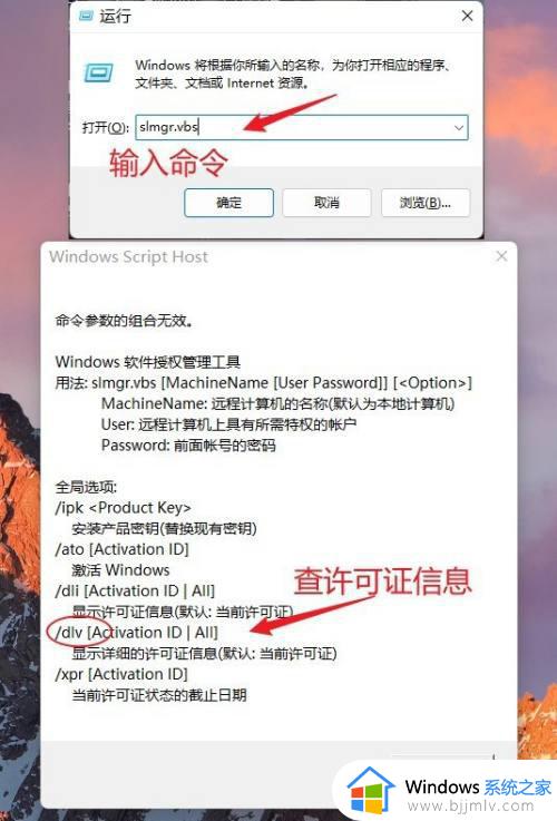 怎么查看windows11激活状态_查看windows11激活状态的方法