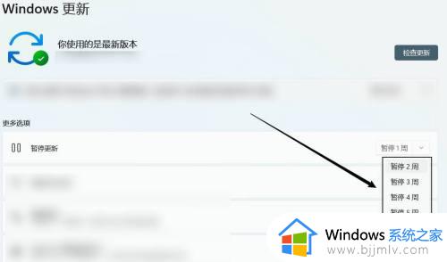 如何停止windows11更新系统_windows11怎么暂停系统更新