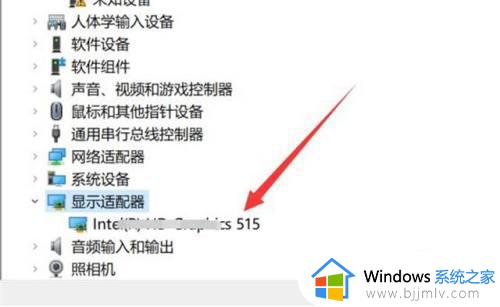 win10电脑怎么查看显卡配置_win10如何查看电脑显卡配置信息