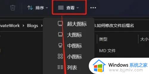 windows11怎么更改文件类型 windows11如何更改文件后缀
