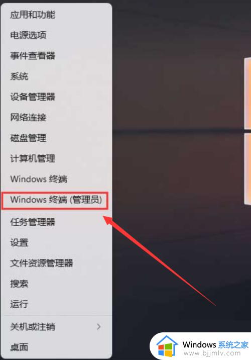 windows11怎么格式化c盘 windows11格式化c盘教程