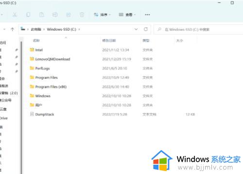 windows11文件夹预览方法 win11怎么显示文件夹预览