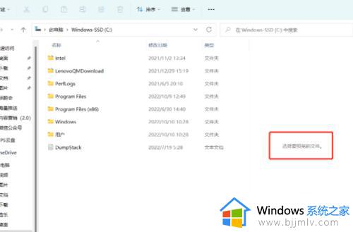 windows11文件夹预览方法_win11怎么显示文件夹预览