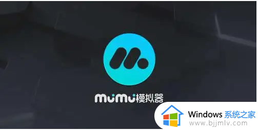 mumu模拟器win10无法安装怎么办_win10电脑下载不了mumu模拟器处理方法