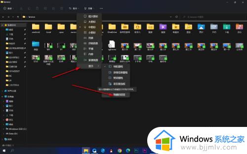 win11隐藏文件夹怎么弄出来_win11隐藏文件的查看方法