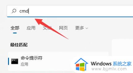 win11程序无法正常启动0xc0000142错误代码解决方法