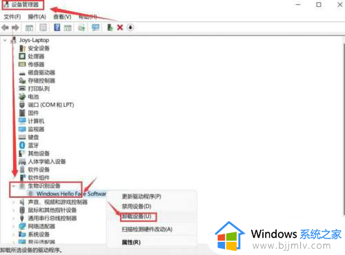 windows11人脸识别如何开启_win11开启人脸识别的教程