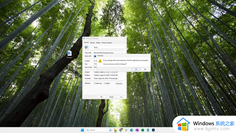 windows11如何改文件后缀名_win11怎么改文件后缀格式