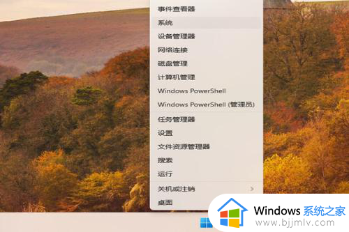 win11登录有两个同名账号怎么办_win11开机有两个账户登录解决方法