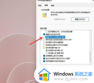 windows11文件后缀名怎么显示?显示后缀名怎么设置 win11