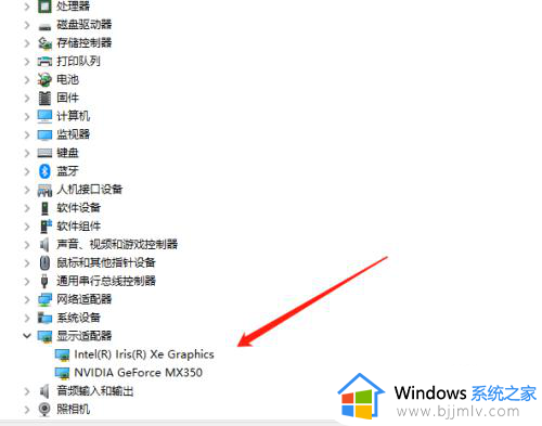 win10怎么查看自己电脑的显卡型号_win10如何查看电脑显卡型号参数