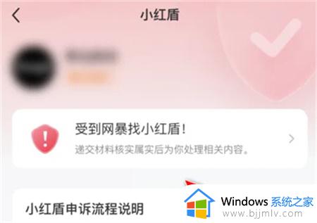 小红书怎样申请防网暴保护_小红书申请防网暴保护详细步骤