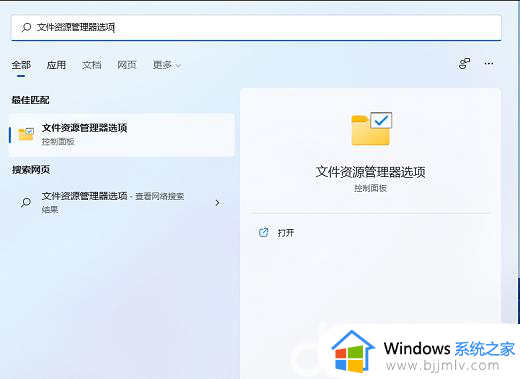 win11如何更改文件类型 win11更改文件类型后缀步骤