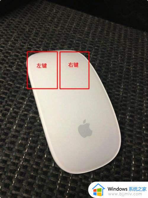 苹果鼠标无法上下滑动怎么办_苹果鼠标在window10上不能滑动如何解决