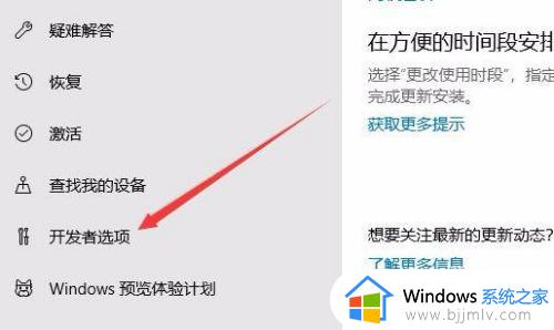 win10开发者选项在哪打开_win10打开开发者模式操作步骤