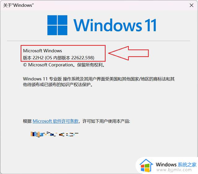 Windows 11 22H2 重要的安全功能更新