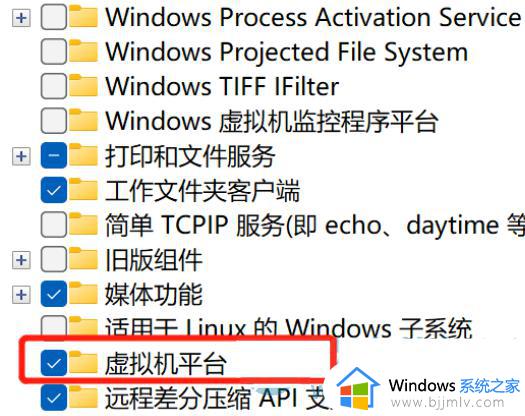 win11运行vmware虚拟机崩溃死机怎么办_vmware导致win11死机崩溃修复方法