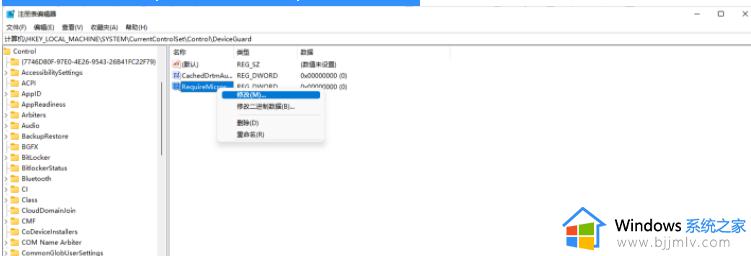 win11运行vmware虚拟机崩溃死机怎么办_vmware导致win11死机崩溃修复方法