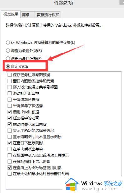 win10视觉效果自定义最佳方案_win10视觉效果自定义怎么设置最好