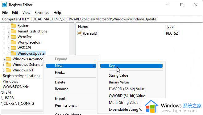 windows11系统更新关闭方法_windows11怎么关闭更新