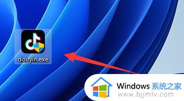 windows11怎么安装软件 windows11安装软件方法