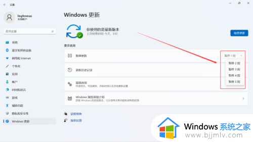 win11自动升级怎么关闭_win11如何关闭自动更新