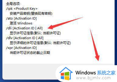 查看win11激活时间方法_windows11怎么查看激活时间