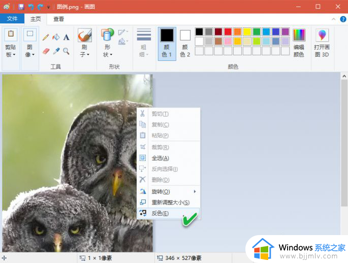 windows画图使用教程 windows画图功能怎么使用