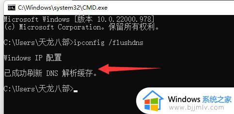 win11电脑dns异常怎么修复_win11网络检测DNS异常解决方法