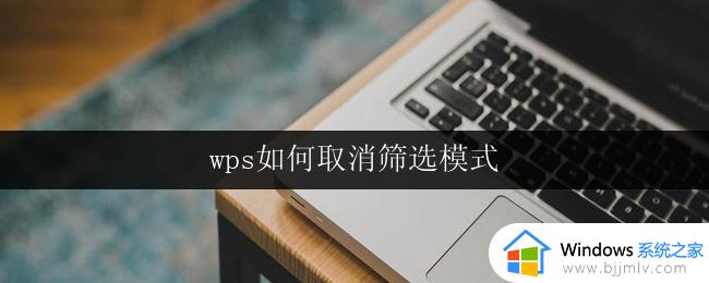 wps如何取消筛选模式 wps如何退出筛选模式