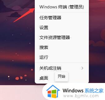 win11电脑绿屏重启是什么原因_win11绿屏一直重启修复方法