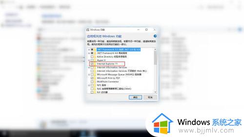 win10ie打不开怎么办_win10ie打不开闪退解决办法
