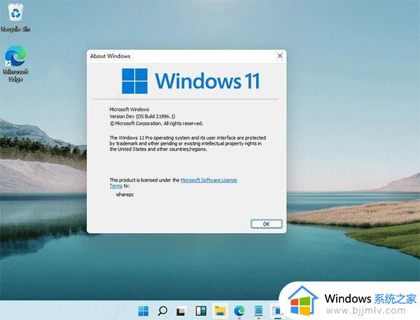 windows11如何隐藏任务栏 windows11隐藏任务栏怎么操作