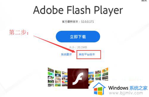 windows10flash插件怎么安装_win10系统flash插件如何下载安装