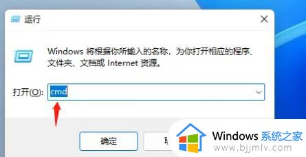 win11更新显示安装错误怎么办？win11更新下载错误如何解决