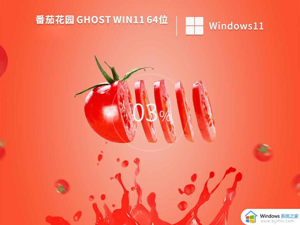 番茄花园ghost win11 64位官网旗舰版下载v2023.11