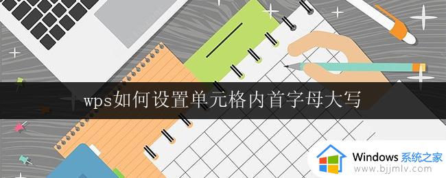 wps如何设置单元格内首字母大写 wps如何设置单元格内字母首字母大写