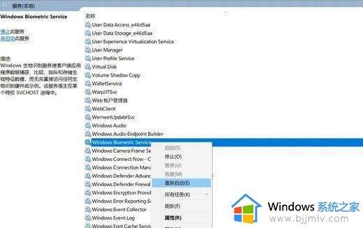 win11找不到指纹识别器怎么办_win11无法找到指纹识别器如何解决