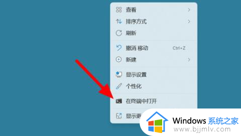 windows11怎么pingip_windows11电脑pingip地址怎么操作